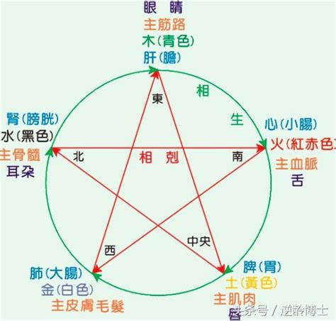 五行屬性 金|【屬金】五行屬金？揭開「金」的秘密：個性、特性、代表物全解。